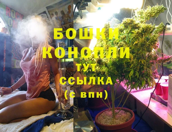 каннабис Новодвинск