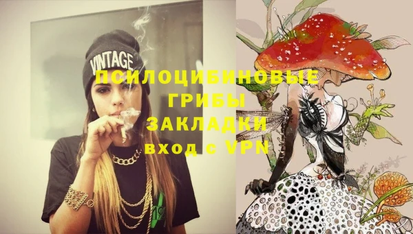 альфа пвп Новокубанск