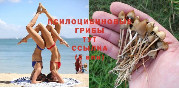 альфа пвп Новокубанск